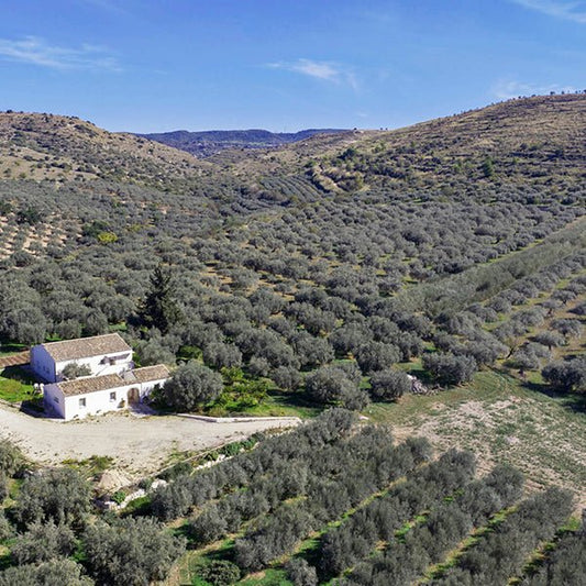 Parco Letterario Gesualdo Bufalino e Oil Tasting Experience